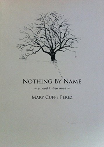 Stock image for Nothing by Name : A novel in free Verse for sale by Better World Books