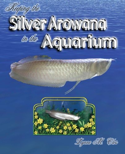 9780972441650: Keeping the Silver Arowana in the Aquarium
