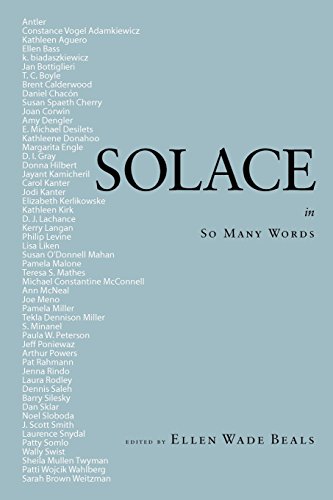 Imagen de archivo de Solace in So Many Words a la venta por ThriftBooks-Dallas