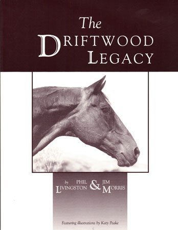 Imagen de archivo de The Driftwood Legacy a la venta por Plain Tales Books