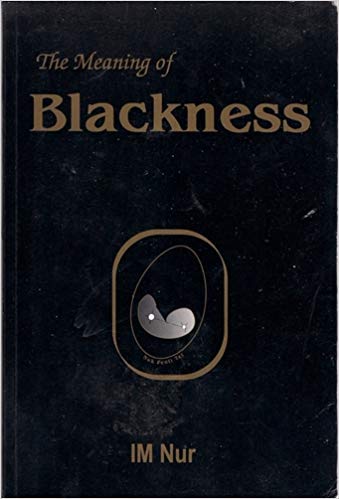 9780972769914: The Meaning of Blackness
