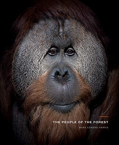 Stock image for The People of the Forest for sale by Big River Books