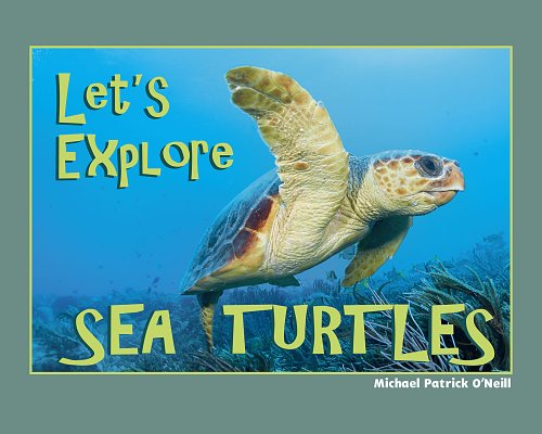 Stock image for Let's Explore Sea Turtles for sale by SecondSale