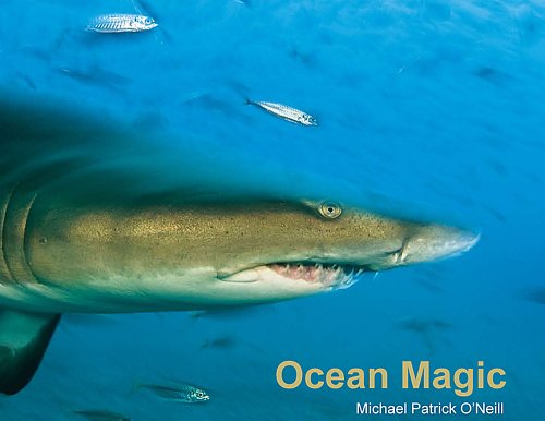 Stock image for Ocean Magic for sale by Better World Books