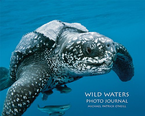 Stock image for Wild Waters Photo Journal for sale by More Than Words