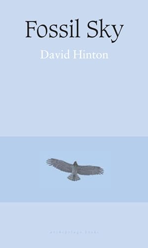 Fossil Sky (9780972869270) by Hinton, David