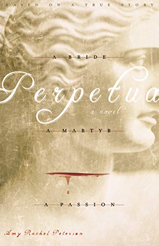 9780972927642: In Perpetua: A Bride, a Martyr, a Passion