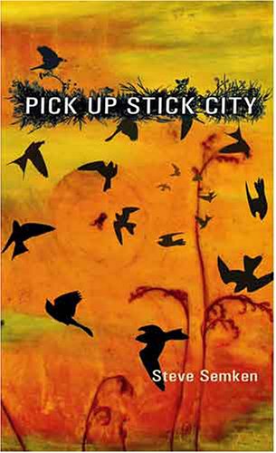 Pick Up Stick City (9780972944519) by Steve Semken