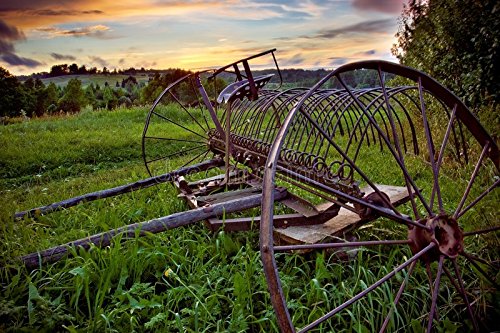 Stock image for A Countryside Anthology for sale by ThriftBooks-Atlanta