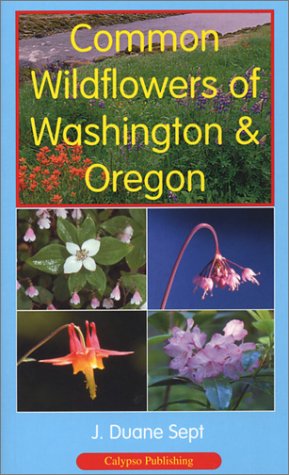 Beispielbild fr Common Wildflowers of Washington & Oregon zum Verkauf von ThriftBooks-Dallas