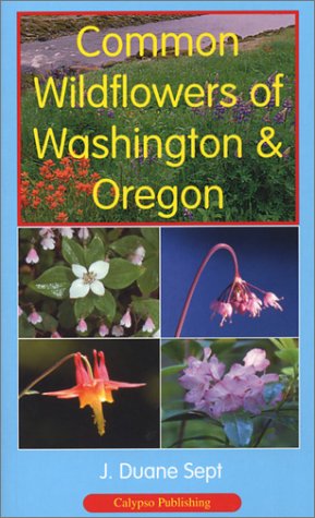 Stock image for Common Wildflowers of Washington & Oregon for sale by ThriftBooks-Dallas