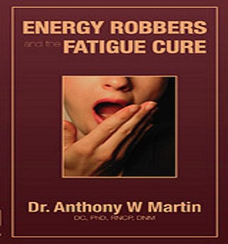 9780973216745: Energy Robbers and the Fatigue Cure