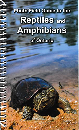 Stock image for Photo Field Guide to the Reptiles and Amphibians of Ontario for sale by Blue Vase Books
