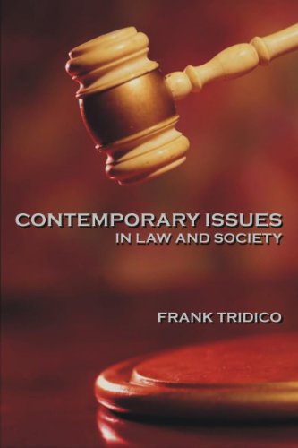 Imagen de archivo de Contemporary Issues in Law and Society a la venta por A Squared Books (Don Dewhirst)
