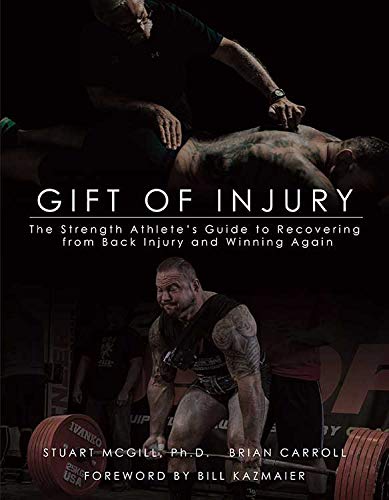 Stock image for Gift of Injury for sale by Cathy's Half Price Books