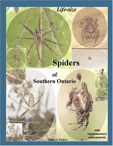 Beispielbild fr Life Size Spiders of Southern Ontario zum Verkauf von Better World Books