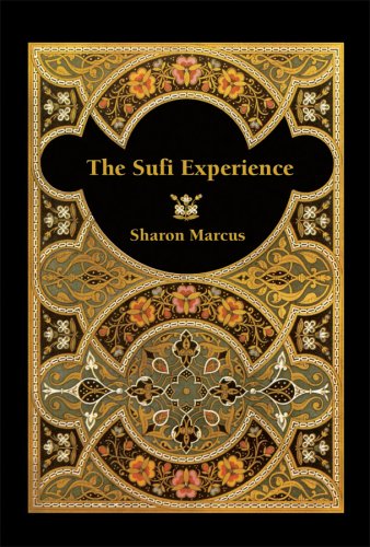 Imagen de archivo de The Sufi Experience a la venta por CMG Books and Art