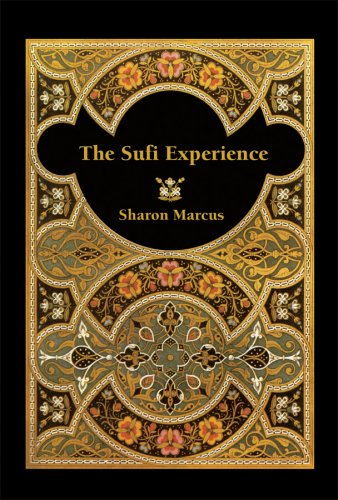 Stock image for The Sufi Experience for sale by CMG Books and Art