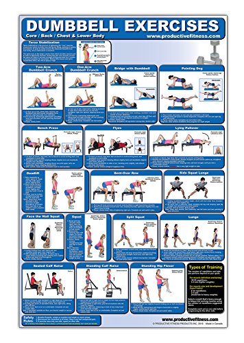 Beispielbild fr Laminated Dumbbell Exercise Poster/Chart - Lower Body/Core/Chest/Back - Created by Fitness Experts with University Degrees in Exercise Physiology - Fitness Poster - Dumbbell Workout Chart zum Verkauf von Books Unplugged