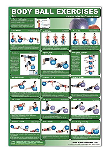 Beispielbild fr Body Ball Exercises-Core Laminated (Poster) zum Verkauf von Revaluation Books