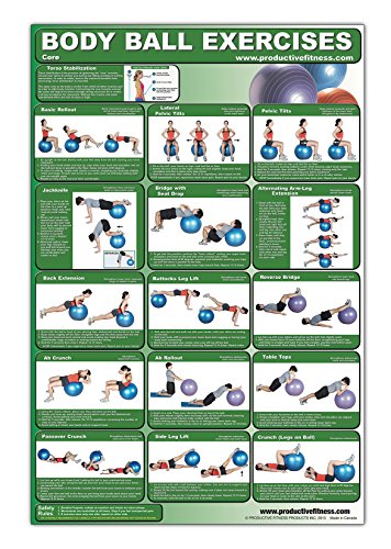 Imagen de archivo de Laminated Body Ball Core Exercise Poster - This Exercise Ball Chart was Created by Fitness Experts w a la venta por Save With Sam