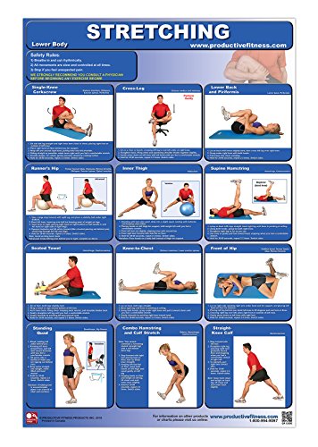 Imagen de archivo de Stretching-Lower Body Laminated (Poster) a la venta por Revaluation Books