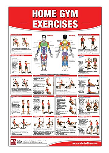 Imagen de archivo de Home Gym Exercises Laminated Poster/Chart: Home Gym Chart, Home Gym Weight Lifting Routine, Weight S a la venta por Save With Sam