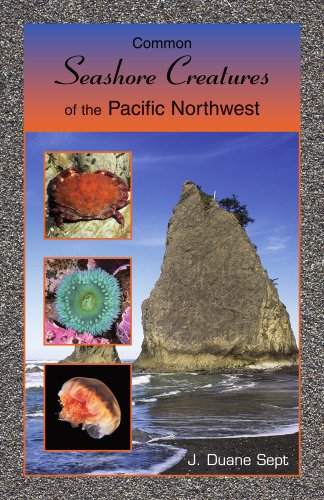 Stock image for Common Seashore Creatures of the Pacific Northwest for sale by Half Price Books Inc.