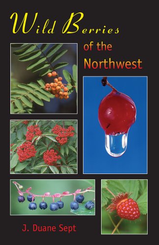 Beispielbild fr Wild Berries of the Northwest: Alaska, Western Canada & the Northwestern United States zum Verkauf von BooksRun