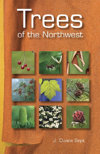 Beispielbild fr Trees of the Northwest: Alaska, Western Canada & the Northwestern United States zum Verkauf von HPB-Red