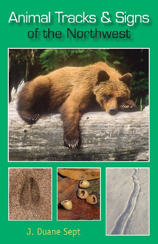 Beispielbild fr Animal Tracks and Signs of the Northwest: Alaska, Western Canada & the Northwestern United States zum Verkauf von SecondSale