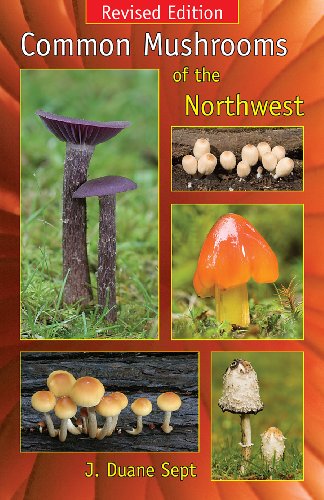 Stock image for Common Mushrooms of the Northwest: Alaska, Western Canada & the Northwestern United States for sale by ThriftBooks-Atlanta