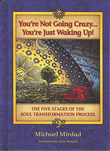 Stock image for Youre Not Going Crazy.Youre Just Waking Up! The Five Stages of Soul Transformation Process for sale by Goodwill of Colorado