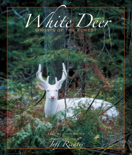 Beispielbild fr White Deer Ghosts of The Forest zum Verkauf von ThriftBooks-Atlanta