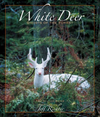 Stock image for White Deer Ghosts of The Forest for sale by Your Online Bookstore