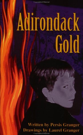 Beispielbild fr Adirondack Gold zum Verkauf von Bulk Book Warehouse