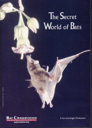 Imagen de archivo de The Secret World of Bats a la venta por Goodwill Books