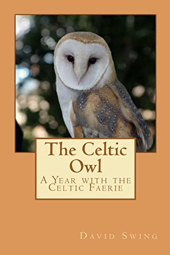 Imagen de archivo de The Celtic Owl: A Year with the Celtic Faerie a la venta por Phatpocket Limited