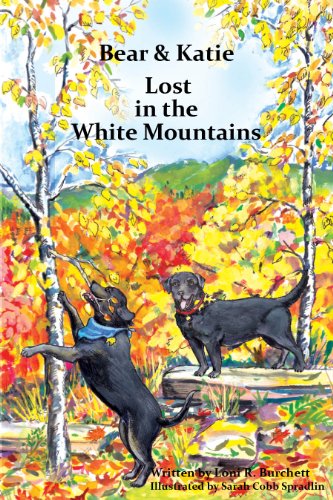 Stock image for Bear and Katie Lost in the White Mountains for sale by HPB-Ruby
