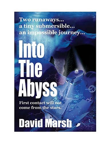 Imagen de archivo de Into the Abyss a la venta por Better World Books