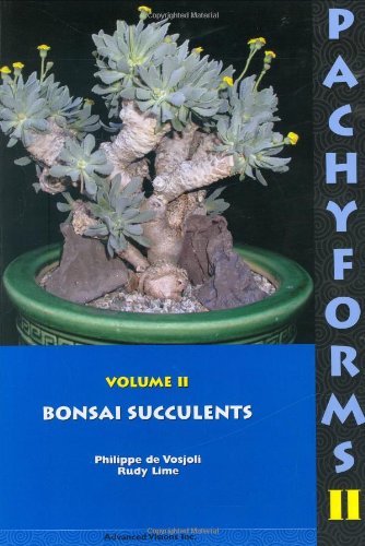 Stock image for Pachyforms 2: Bonsai Succulents for sale by Blue Vase Books