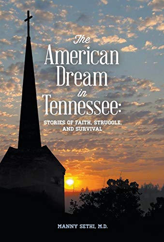 Imagen de archivo de The American Dream in Tennessee: Stories of Faith, Struggle & Survival a la venta por ThriftBooks-Atlanta