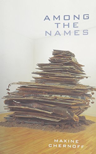 Imagen de archivo de Among the Names a la venta por Books From California