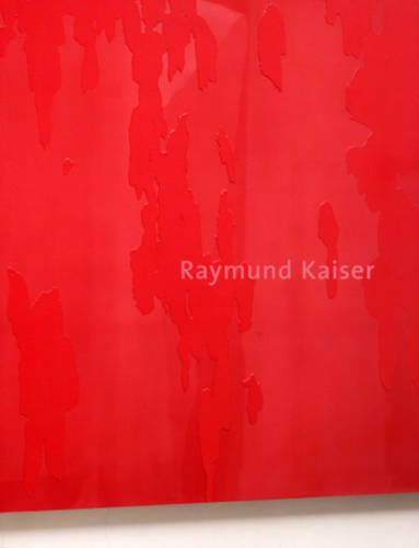 Raymund Kaiser: Paintings 2002-2006 (9780974514857) by Reinhard Ermen