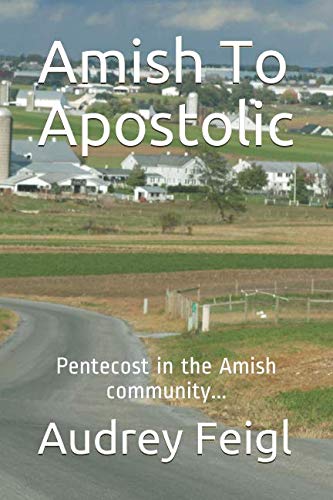 Stock image for Amish To Apostolic: Pentecost in the Amish community for sale by SecondSale