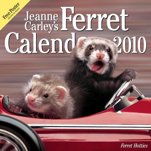 9780974786957: Jeanne Carley's Ferret Hotties 2010 Calendar