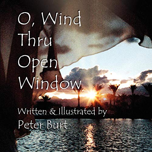 Imagen de archivo de O, Wind Thru Open Window a la venta por Lucky's Textbooks