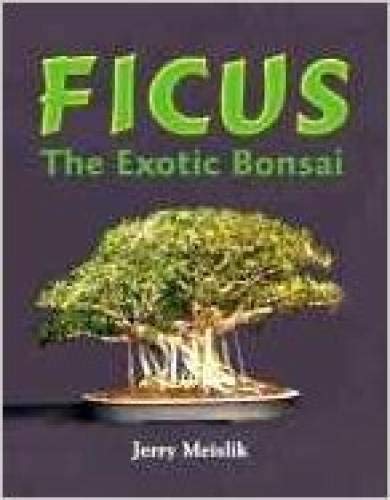 9780974952406: Ficus : The Exotic Bonsai