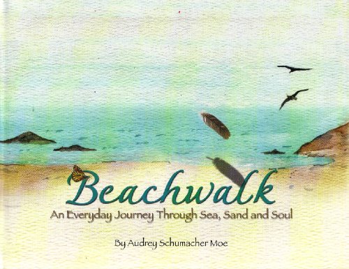 9780974988504: Beachwalk: An Everyday Journey Through Sea, Sand And Soul