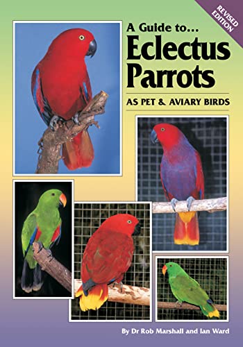 9780975081709: A Guide to Eclectus Parrots as Pet and Aviary Birds